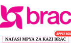 HR & Administration Officer Vacancy at BRAC Tanzania June 2025
