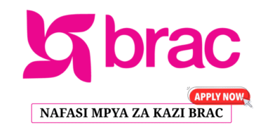 HR & Administration Officer Vacancy at BRAC Tanzania June 2025