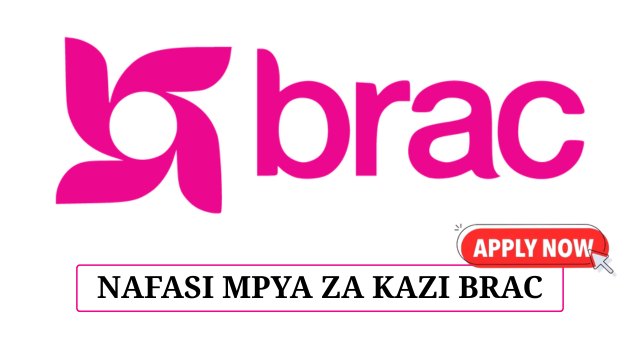 HR & Administration Officer Vacancy at BRAC Tanzania June 2025