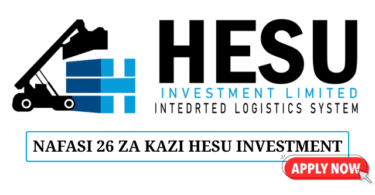 Hesu Investment Ltd Job Vacancies June 2025