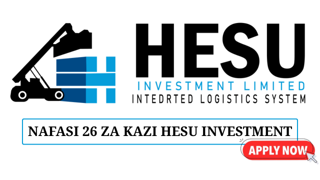 Hesu Investment Ltd Job Vacancies June 2025