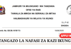 Ikungi District Council Vacancies June 2025