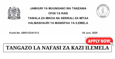 Ilemela Municipal Council Vacancies June 2025