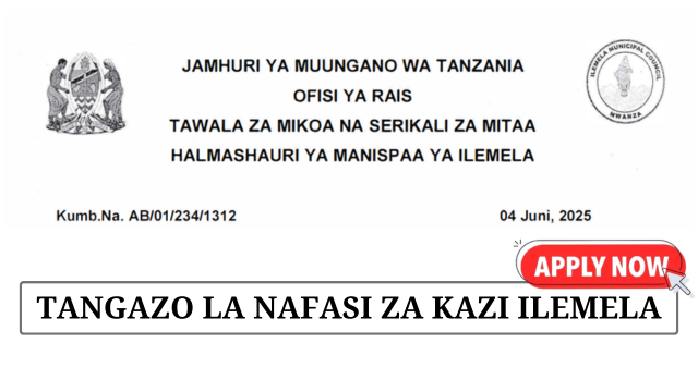 Ilemela Municipal Council Vacancies June 2025