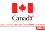 Information Technology Professional at High Commission of Canada June 2025