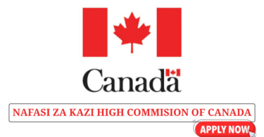 Information Technology Professional at High Commission of Canada June 2025