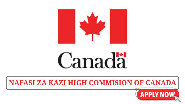 Information Technology Professional at High Commission of Canada June 2025