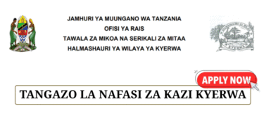 Kyerwa District Council Vacancies July 2025