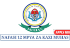 MUHAS 12 Vacancies June 2025
