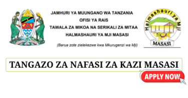 Masasi Town Council Vacancies June 2025