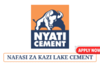 Mechanical Fitter / Technician at Lake Cement June 2025