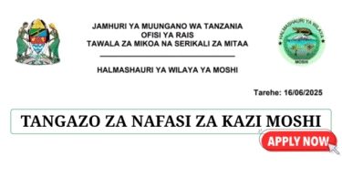 Moshi District Council Vacancies June 2025
