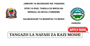 Moshi Municipal Council Vacancies June 2025