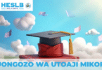 Muongozo wa utoaji mikopo 2025
