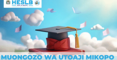 Muongozo wa utoaji mikopo 2025