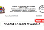 Mwanga District Council Vacancies June 2025