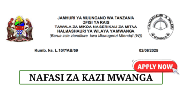 Mwanga District Council Vacancies June 2025