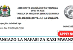 Mwanza City Council Job Vacancies June 2025