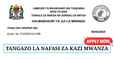 Mwanza City Council Job Vacancies June 2025