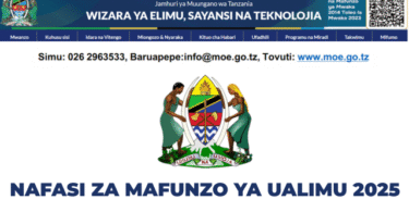 Nafasi za Mafunzo ya Ualimu Elimu ya Awali na Msingi 20252026