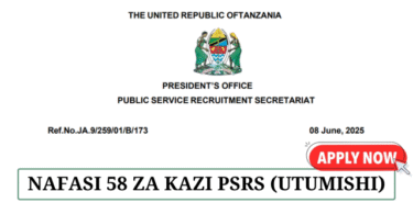 New Government Job Opportunities at NIT and DMI June 2025