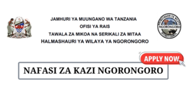 Ngorongoro District Council Vacancies June 2025
