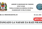Nkasi District Council Vacancies June 2025