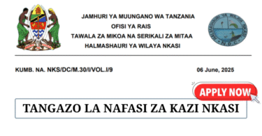 Nkasi District Council Vacancies June 2025