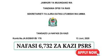 PSRS 6732 Job Vacancies at MDAs & LGAs June 2025