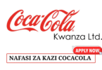 Process Operator at Coca-Cola Kwanza June 2025