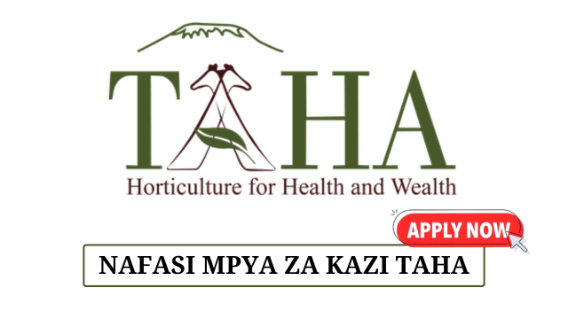 Project Accountant Vacancies at TAHA June 2025