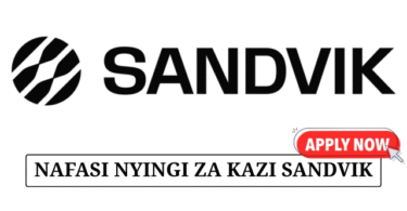 Sandvik Tanzania Vacancies 2025