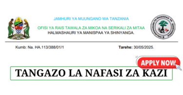 Shinyanga Municipal Council Vacancies June 2025
