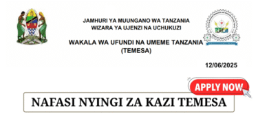 Wakala wa Ufundi na Umeme Tanzania (TEMESA) Jobs June 2025