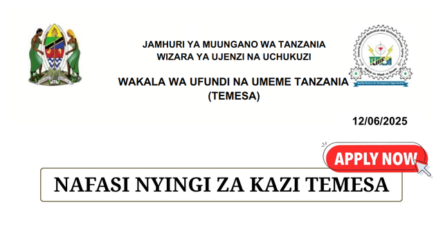 Wakala wa Ufundi na Umeme Tanzania (TEMESA) Jobs June 2025