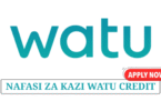 Watu Credit Tanzania Vacancies 2025