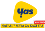 YAS Tanzania Career 2025