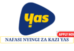 YAS Tanzania Career 2025