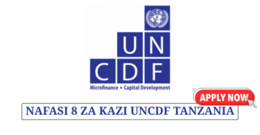 8 Field Associates Vacancies at UNCDF Tanzania July 2025