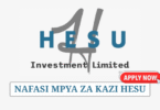 Accountant – Receivables Role at Hesu Investment Ltd July 2025