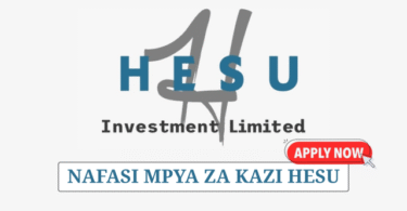 Accountant – Receivables Role at Hesu Investment Ltd July 2025