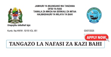 Bahi District Council Vacancies July 2025