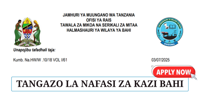 Bahi District Council Vacancies July 2025