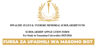 Bank of Tanzania (BOT) Scholarship 20252026