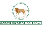 CAWM New Vacancies July 2025