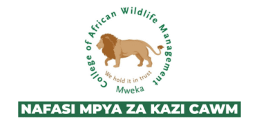 CAWM New Vacancies July 2025