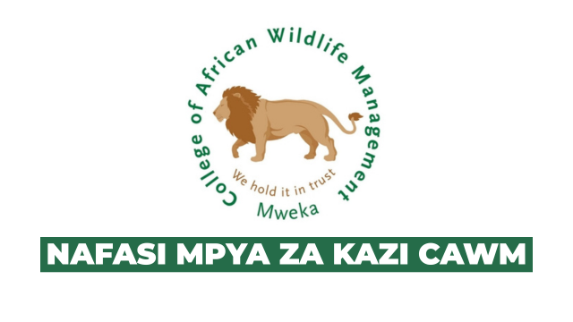 CAWM New Vacancies July 2025