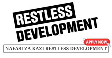Consultant at Restless Development KIJANA IMARA Project 2025