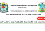 Dar es Salaam City Council Vacancies July 2025