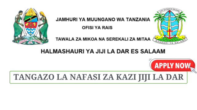 Dar es Salaam City Council Vacancies July 2025